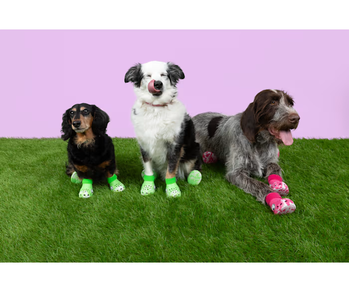 crocs-gallery-color:green slime; color:Green Slime; alt:ALT110; file:211352_3WA-ALT110